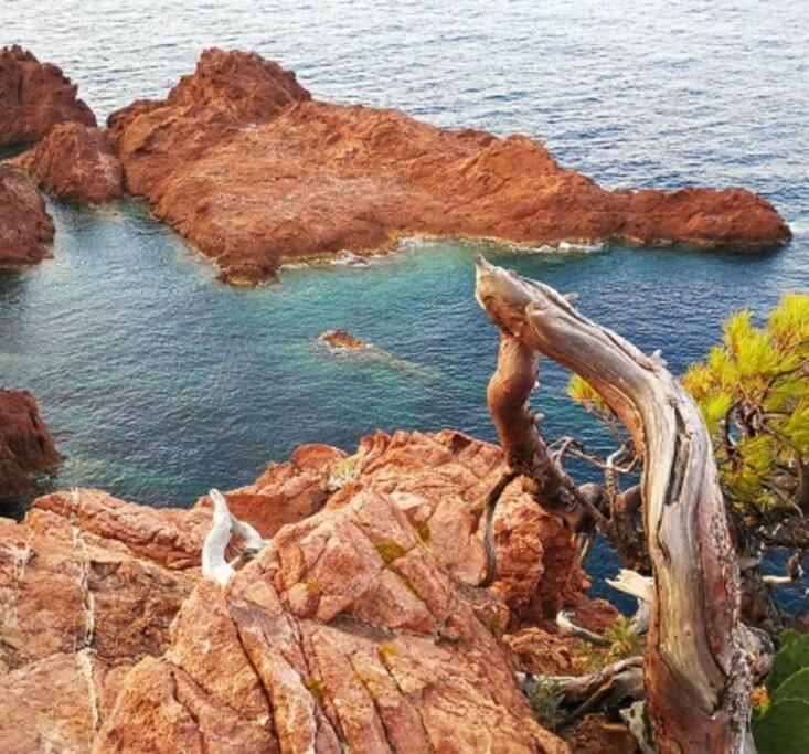 Maison Avec Jardin Privatif A 3km Des Plages Hébergement de vacances Fréjus