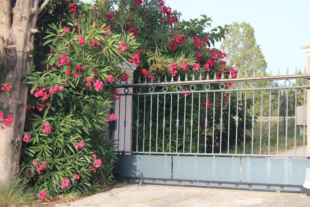 Maison Avec Jardin Privatif A 3km Des Plages
